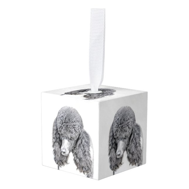 Adorno Cúbico Pintura de Parti Negro de canapé estándar - Arte d (Anverso en perspectiva)