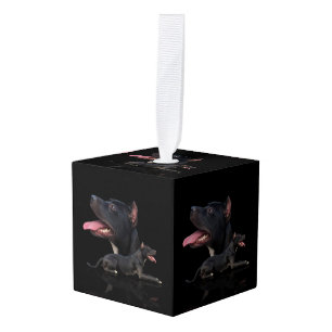 Adorno Cúbico Pitbull Terrier americano