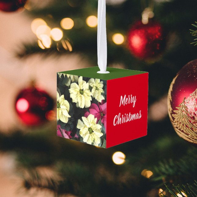 Adorno Cúbico Poinsettias y Holly deja vacaciones (In Situ)