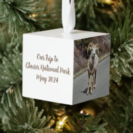 Adorno Cúbico Recuerdos de Fotos