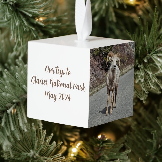 Adorno Cúbico Recuerdos fotográficos (Árbol)