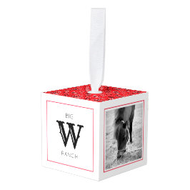 Adorno Cúbico Red Bandana Horse Photos Farm Nombre inicial Diver