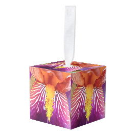 Adorno Cúbico Resumen artístico de Iris claro