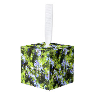 Adorno Cúbico romero azul floreciente