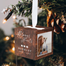 Siempre en nuestros corazones Mascotas Fotos Memor