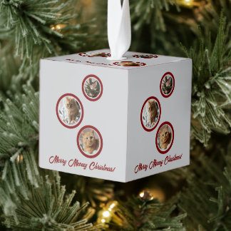 Adorno Cúbico Three Photos Cats Customize 