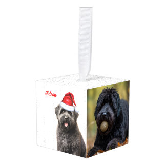 Adorno Cúbico Vacaciones fotográficas de dos perros Bouvier des 