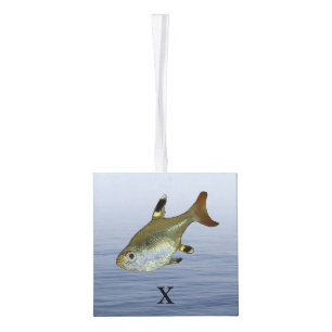 Adorno Cúbico "X" es para peces de rayos X