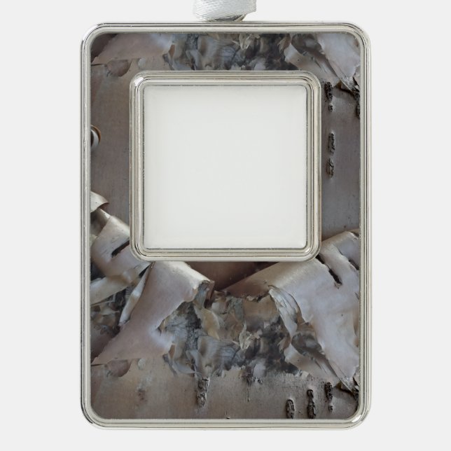 Adorno Curly Birch Bark Tree Rustic (Anverso)