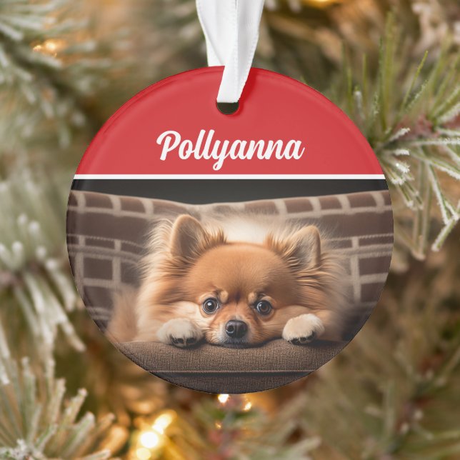 Adorno Cute Pomeranian Dog Holiday Christmas Photo (Árbol)