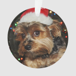 Adorno Cute Yorkie con Santa Hat
