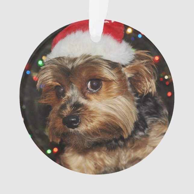 Adorno Cute Yorkie con Santa Hat (Anverso)