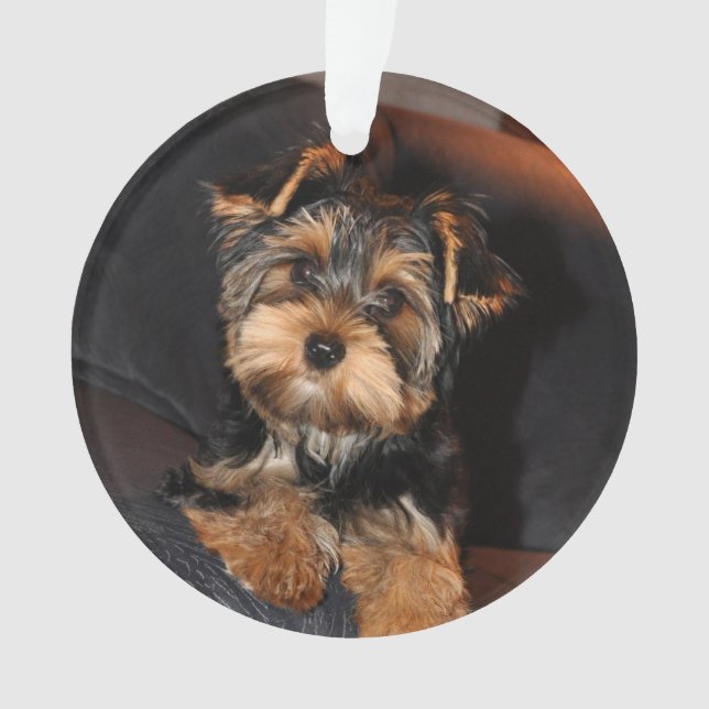 Adorno Cute Yorkshire Terrier Yorkie Perro Cuppy (Anverso)