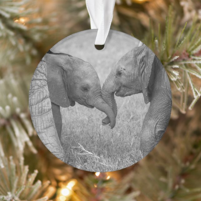 Adorno Cutest Baby Animals | Baby Elephants Greeting (Árbol)
