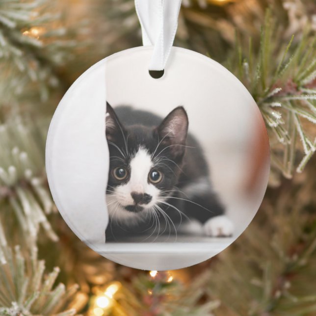 Adorno Cutest Baby Animals | Black & White Kitten (Árbol)