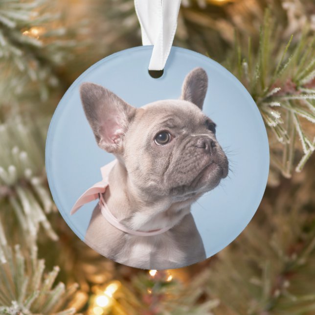 Adorno Cutest Baby Animals | French Bulldog Pink Bow (Árbol)