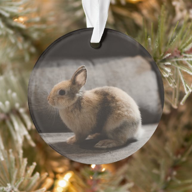 Adorno Cutest Baby Animals | Netherland Dwarf Rabbit (Árbol)
