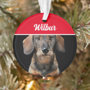 Adorno Dachshund de pelo duro con nombre y foto Navidad