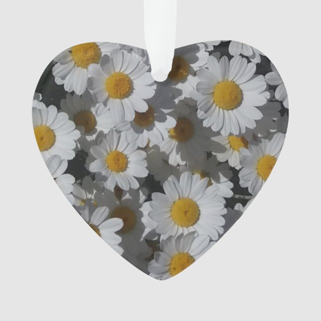Adorno Daisies blancos acrílicos (Anverso)