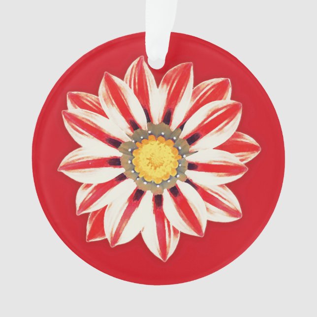 Adorno Daisy africano / Gazania - franja roja y blanca (Anverso)