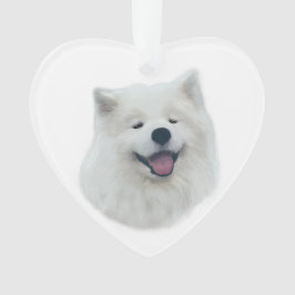 Adorno Daisy el samoyed