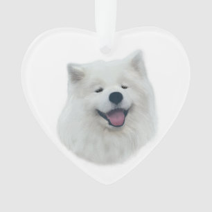 Adorno Daisy el samoyed