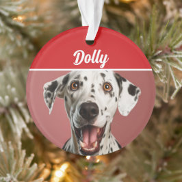 Adorno Dalmatian Dog Name Photo Holiday Christmas