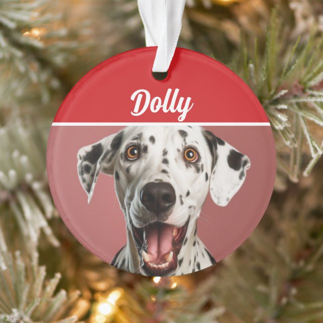 Adorno Dalmatian Dog Name Photo Holiday Christmas (Árbol)