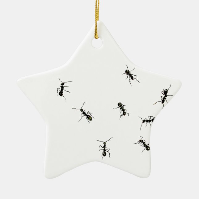 Adorno De Cerámica 10 hormigas (Frente)