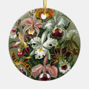 Adorno De Cerámica ¡20101126181226! Haeckel_Orchidae.jpg