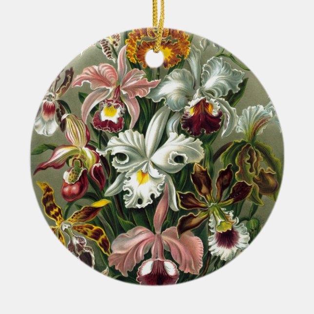 Adorno De Cerámica ¡20101126181226! Haeckel_Orchidae.jpg (Frente)