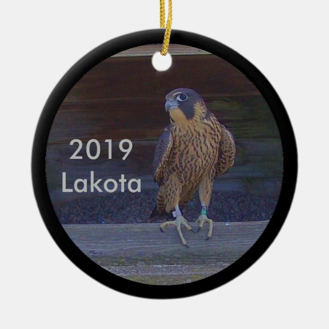 Adorno De Cerámica 2019 Cerámica Ornament Lakota (Frente)