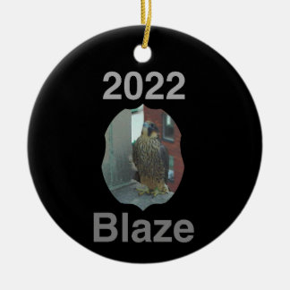 Adorno De Cerámica 2022 Círculo cerámico de blanco