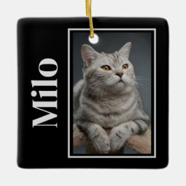 Adorno De Cerámica A lo largo del puente arcoiris Mascota de plata me