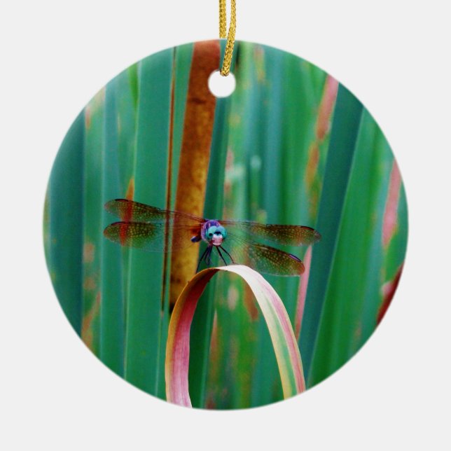 Adorno De Cerámica A teal Eyed Dragonfly with cattails (Frente)