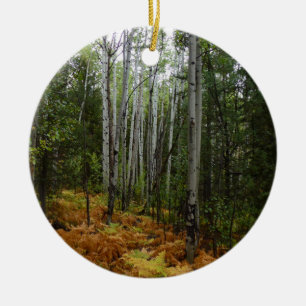 Adorno De Cerámica Abedules y Helechos de Otoño en Rocky Mountain