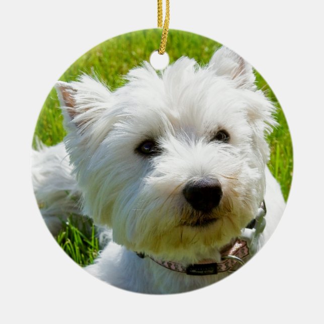 Adorno De Cerámica Abeja (Frente)