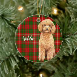 Adorno De Cerámica Acuarela Apricot Poodle Perro Personalizado