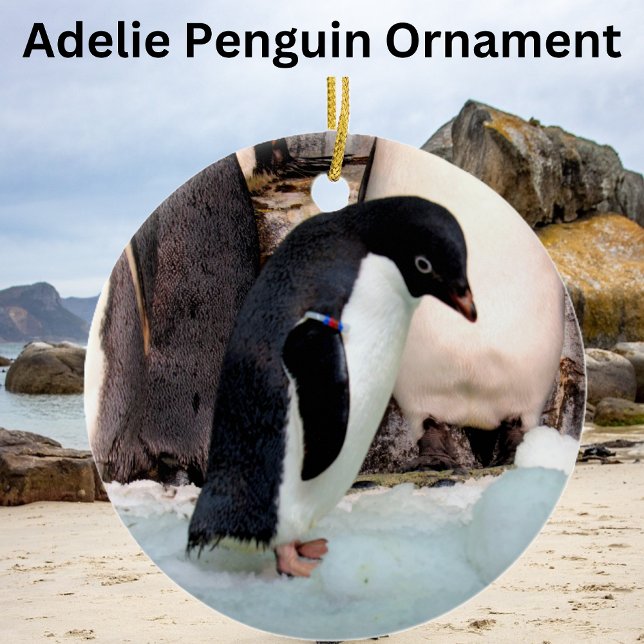 Adorno De Cerámica Adelie Penguin (Subido por el creador)