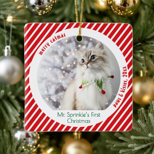 Adorno De Cerámica Adorable Gatos Primera Navidad Recuerdo Festivo