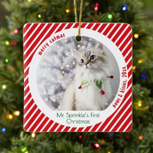 Adorno De Cerámica Adorable Gatos Primera Navidad Recuerdo Festivo 