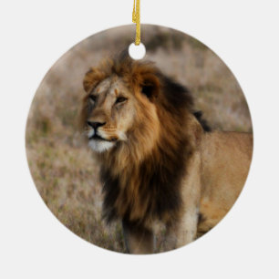 Adorno De Cerámica African Lion in Grass