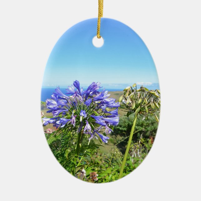 Adorno De Cerámica Agapanthus en las Azores (Frente)