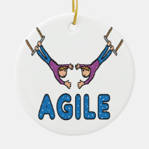Agile