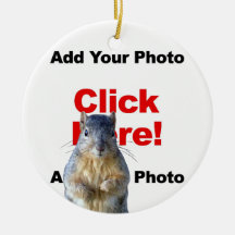 Agregar una ardilla personalizada Photobomb Agrega