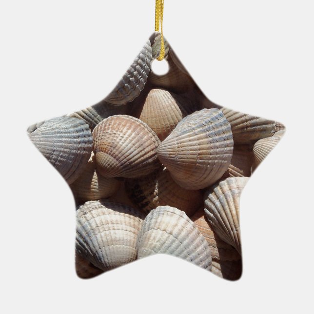 Adorno De Cerámica Aguas marinas (Atrás)