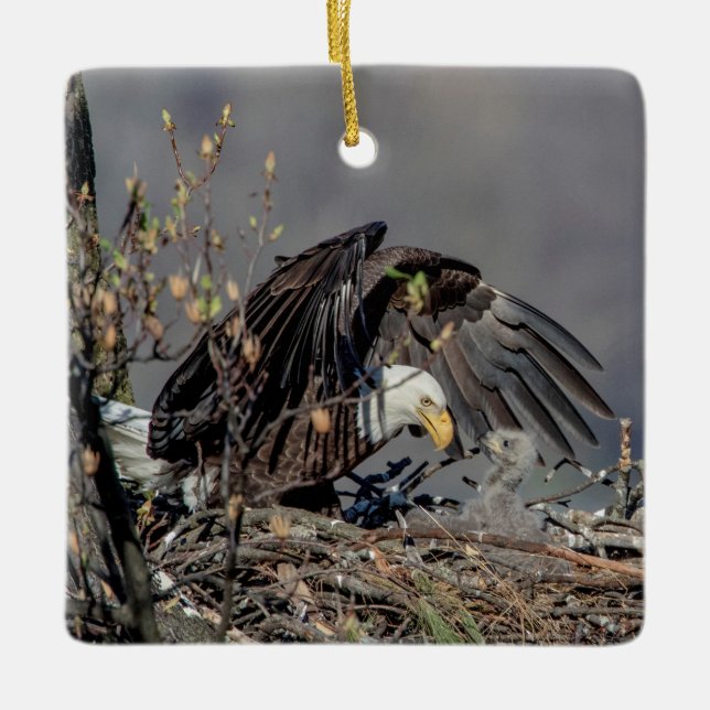 Adorno De Cerámica Águila calva con su bebé (Anverso)