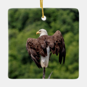 Adorno De Cerámica Águila calva en una rama