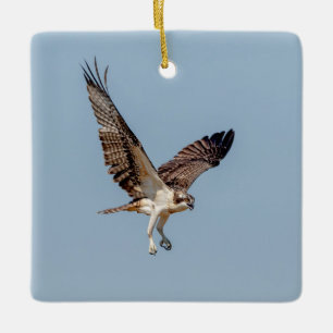 Adorno De Cerámica Águila Pescadora juvenil en vuelo