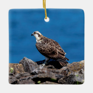 Adorno De Cerámica Águila pescadora sobre las rocas